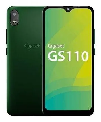 GS110
